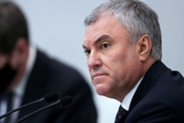 Володин посоветовал отставку сообщившему о смерти Жириновского сенатору