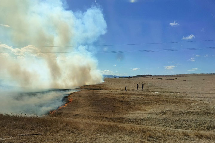 В Хакасии поджигателей травы ждет суровая кара 