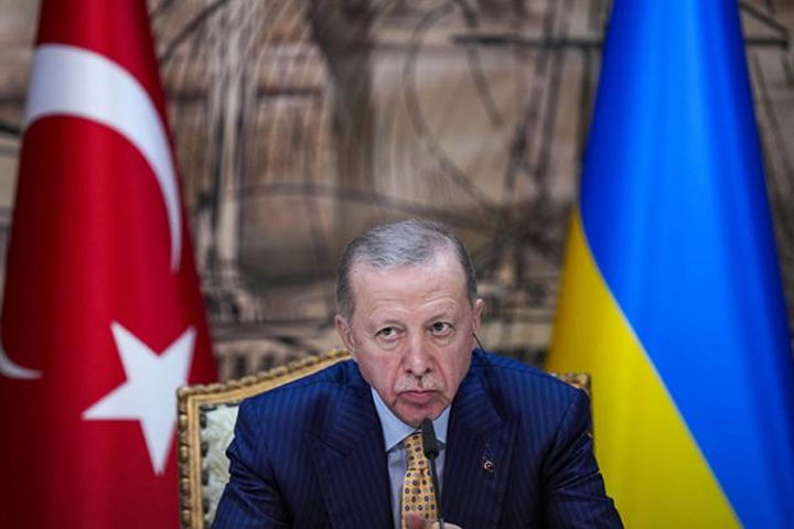 Эрдоган с жалостью смотрит, как мечется Зеленский, но свой куш терять не хочет