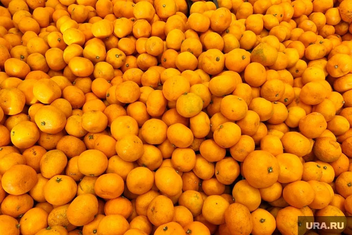 В Челябинской области обнаружили 15 тонн зараженных фруктов