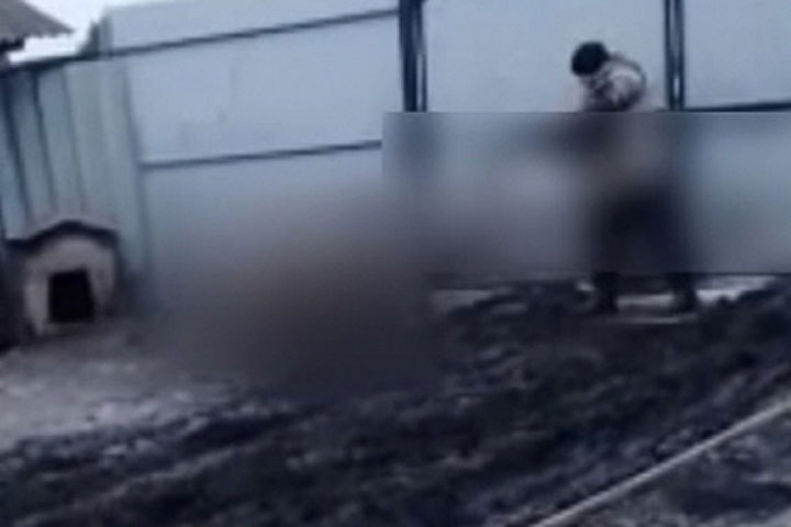 Мужчина застрелил домашнюю собаку и отправил видео с расправой 13-летней девочке
