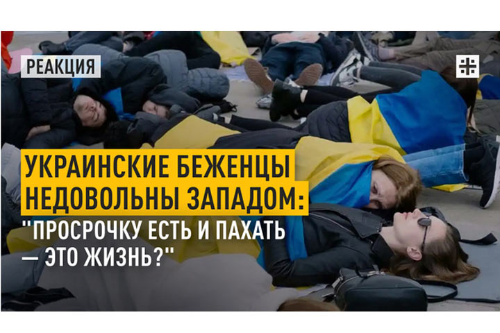Украинские беженцы недовольны Западом: «Просрочку есть и пахать — это жизнь?»
