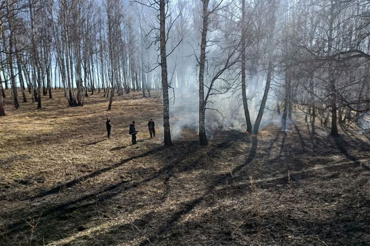 Поджигателей леса поймали в соседнем с Хакасией регионе