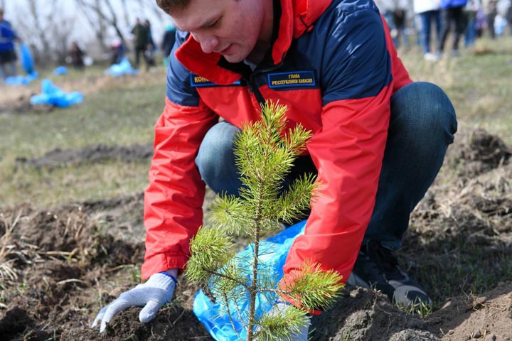 В честь Чир Ине в Усть-Абакане высажены саженцы деревьев