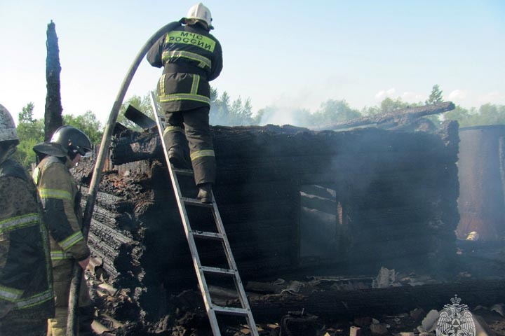 В Алтайском районе на пожаре погибли куры и индюки 