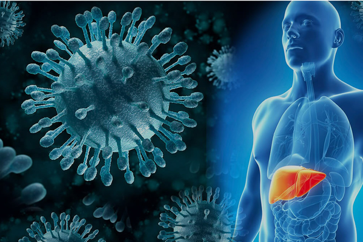 Коварный гепатит С может привести к циррозу  или раку печени 