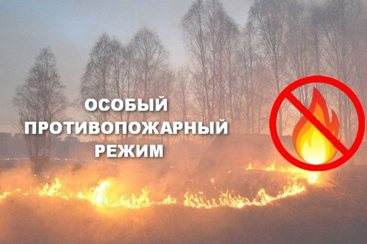 В Хакасии введен особый противопожарный режим