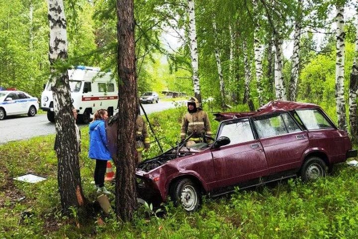 В Абазе пожилой водитель погиб, врезавшись в дерево 