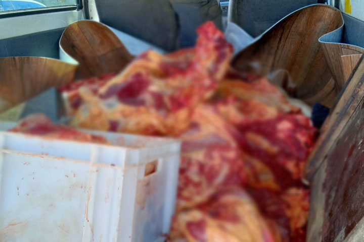 В абаканское кафе «Восток» везли 380 кг непроверенной говядины