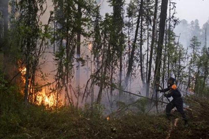 К тушению лесных пожаров в республике привлекут авиацию