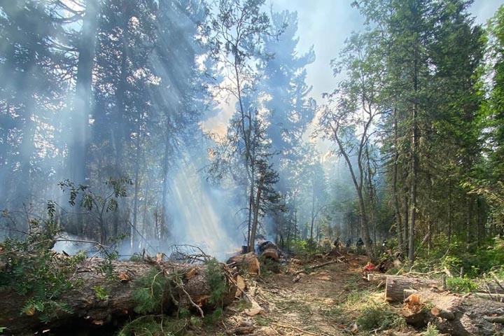В Усть-Бюрском лесничестве локализован лесной пожар на площади 60 гектар