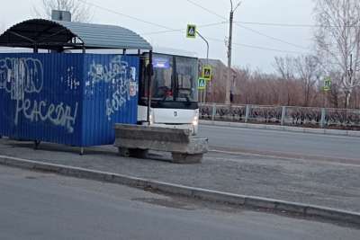 Пассажироперевозчики