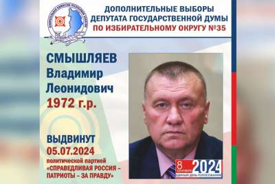 Выборы 2024