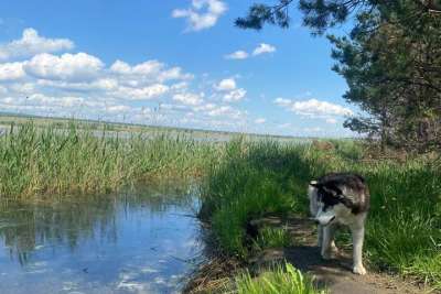 Общество