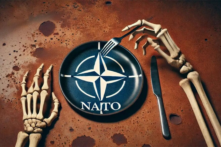 Обнаружена главная уязвимость НАТО