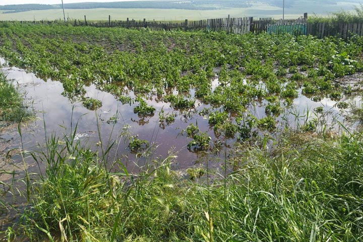 Поселок на юге Сибири смыло дождевой водой. ВИДЕО