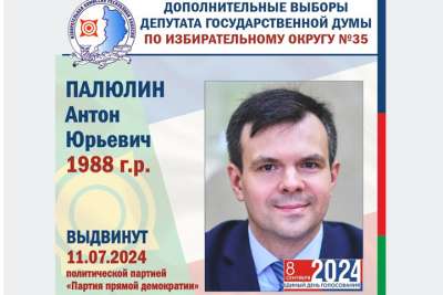 Выборы 2024