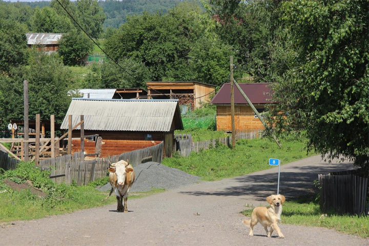 Небольшая деревня в Таштыпском районе с трех сторон окружена горами