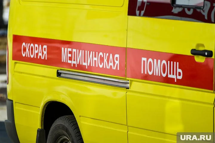 В России зафиксированы случаи заражения лихорадкой Западного нила: что это такое и кто в группе риска