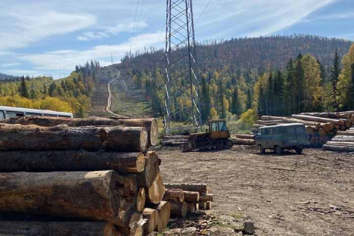 Хакасия заработает свыше семи миллионов рублей на продаже леса