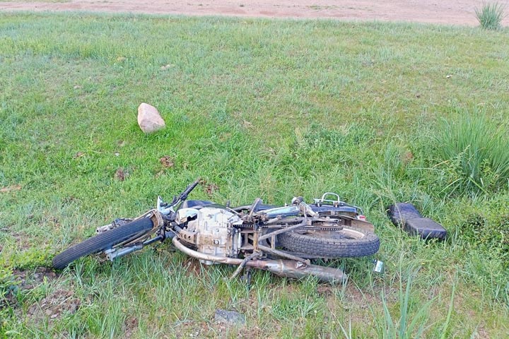В Хакасии мотоциклист сбил лошадь