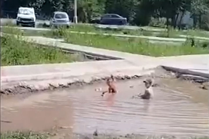 Дети облюбовали стихийный водоем в Пригорске