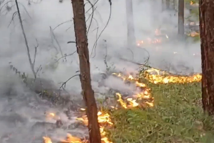Лесной пожар в Минусинском районе действовал как хитрый мошенник