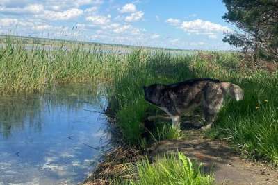 Общество