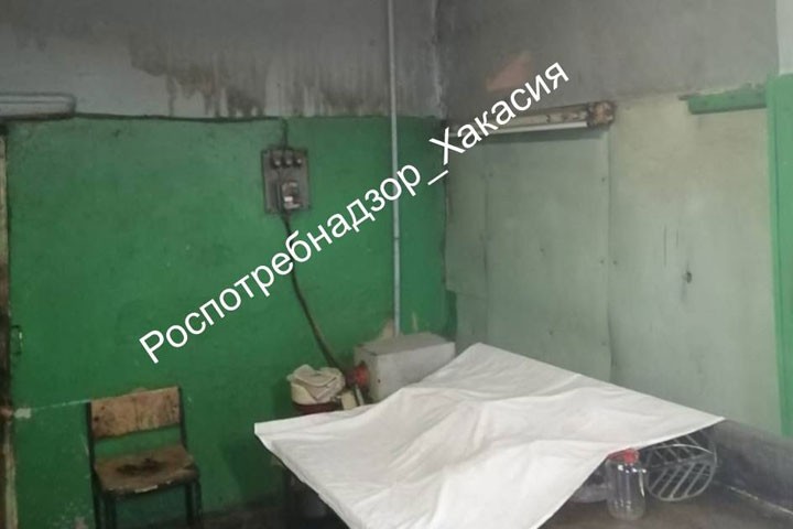 Бастрыкин затребовал доклад по уголовному делу об отравлении эклерами в Хакасии