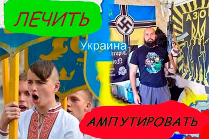 Чем схож и чем отличается украинский национал-шовинизм от германского нацизма?