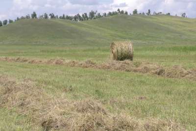 Уборочная кампания