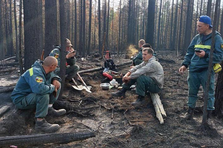 Кедровый лес полыхает как спичка - пожарные Хакасии рассказали о возгораниях в Туве