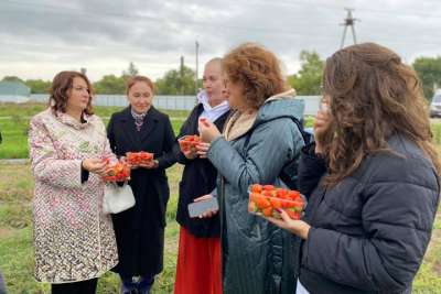 Алтайский район