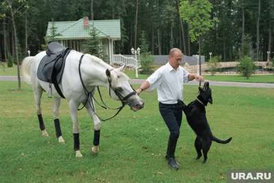 Путин