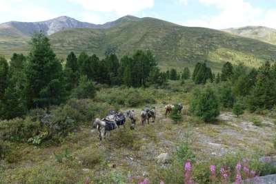 Заповедник