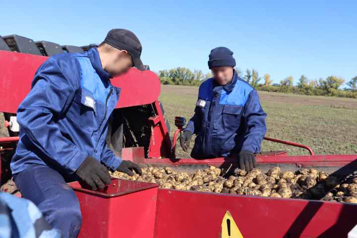 В Хакасии осужденные и сотрудники УФСИН завершили уборочную кампанию