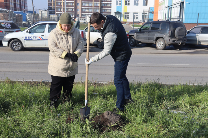 В Арбане высадили 35 саженцев 