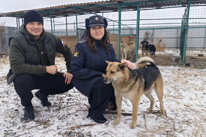 Приставы привезли в «Каштанкин дом» еду 