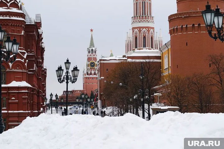 Главную новогоднюю елку России привезли на Красную площадь. Видео