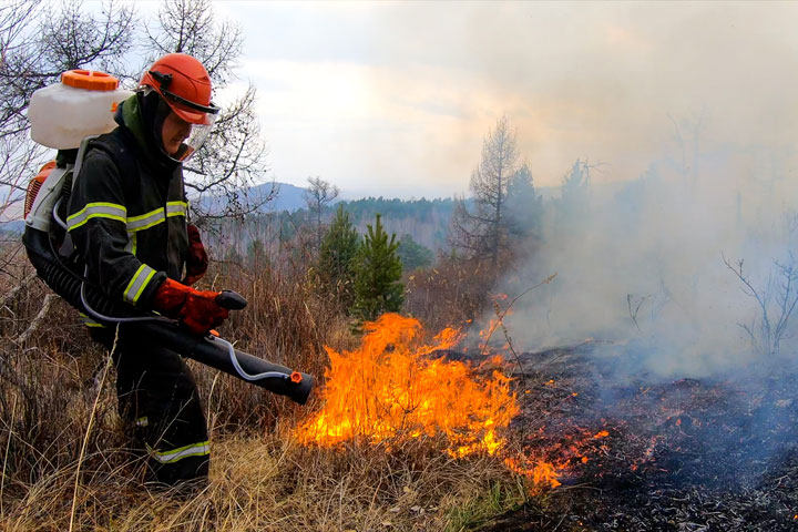 В Хакасии потушены все лесные пожары 