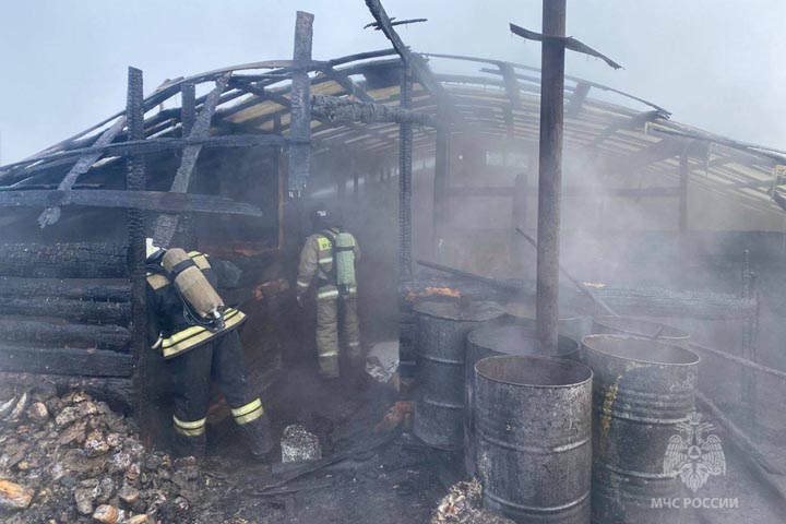 Под Минусинском на пожаре спасли три десятка свиней