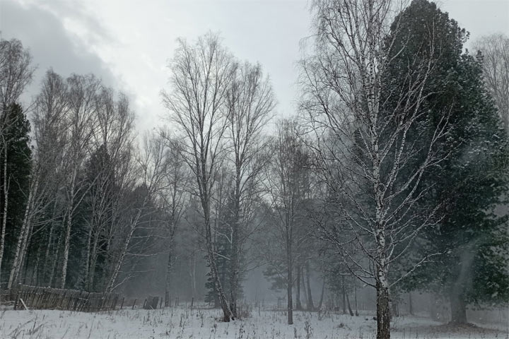 Новогодняя ночь в Хакасии будет морозной