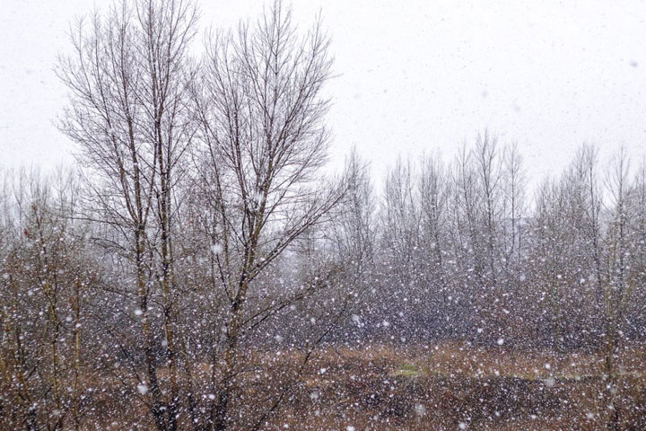 В Хакасию возвращаются снег, дождь и гололедица 
