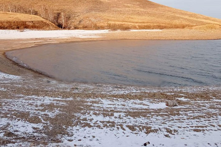 Жителя Хакасии будут судить за ловлю пеляди на Красноярском водохранилище 