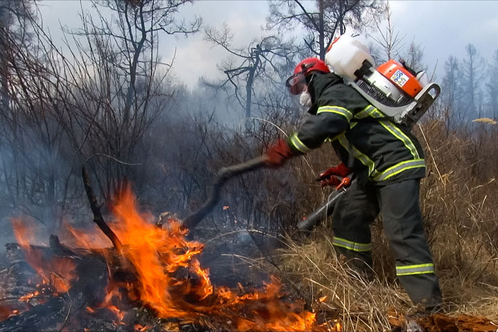 В Хакасии вновь горел лес 