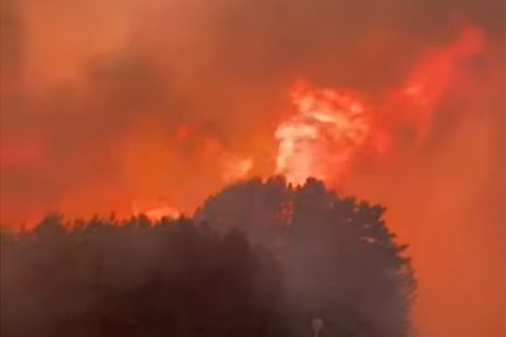 В Минусинском районе сгорело 250 гектаров леса. Видео