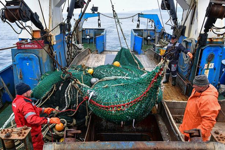 Россию накормят дарами моря щедрые Фарерские острова