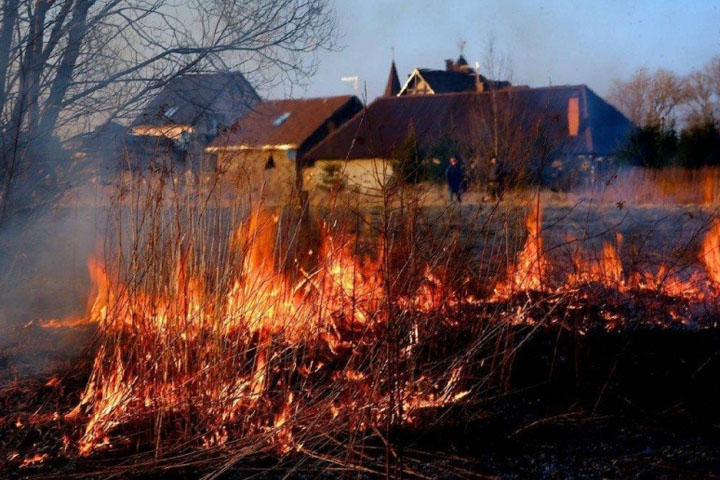 Наполните водой все емкости: жителям Хакасии напомнили, как спастись от огня 