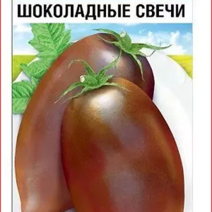 В Хакасии нашли незарегистрированные семена овощей