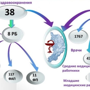 О чем конкретно министр здравоохранения доложил главе Хакасии